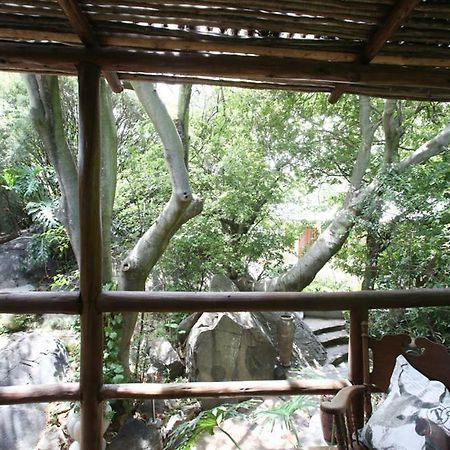 Little Forest Guest House Γιοχάνεσμπουργκ Εξωτερικό φωτογραφία