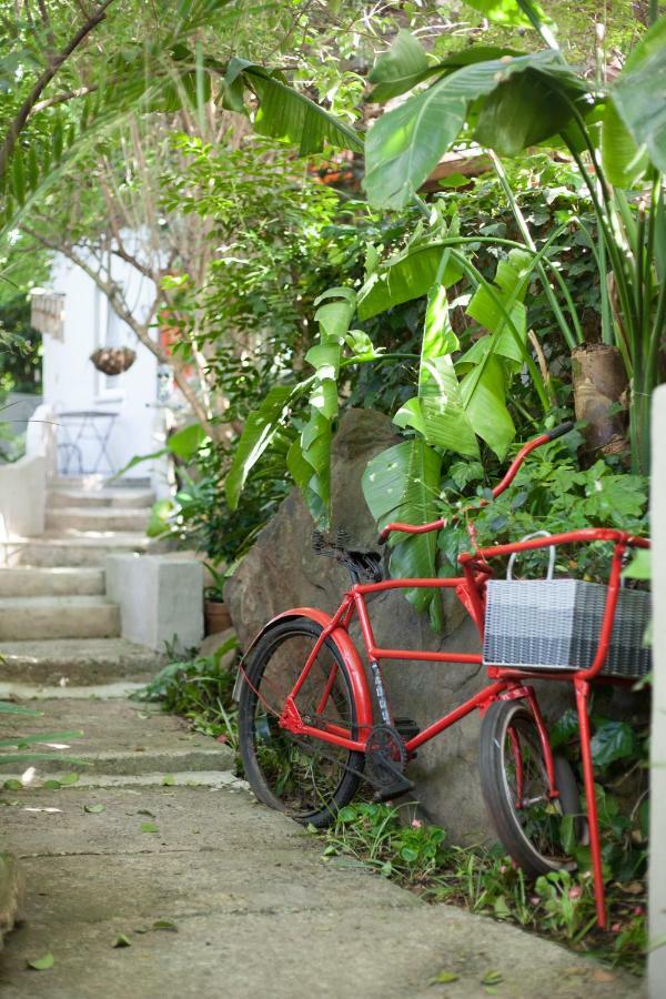 Little Forest Guest House Γιοχάνεσμπουργκ Εξωτερικό φωτογραφία