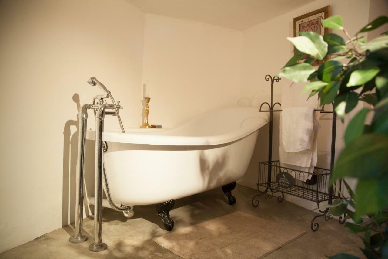 Little Forest Guest House Γιοχάνεσμπουργκ Εξωτερικό φωτογραφία